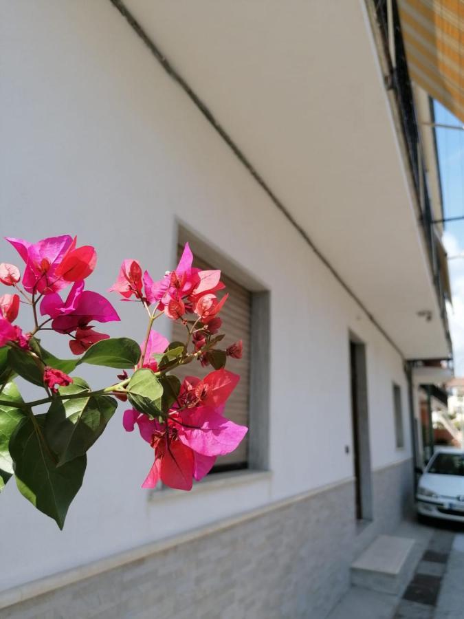 סקליאה Bouganville Da Gio מראה חיצוני תמונה